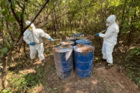 Aseguran químicos y destruyen explosivos en Sinaloa