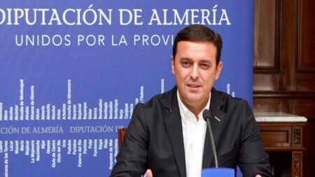 Detenidos presidente y vicepresidente de la Diputación de Almería por contratos irregulares