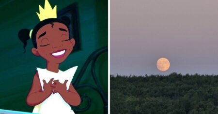 Ritual de luna llena en Leo para atraer amor y relaciones sanas Ritual de luna llena en Leo para atraer amor y relaciones sanas