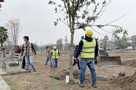 Congreso ordena auditoría a Reforestación Extrema en Nuevo León