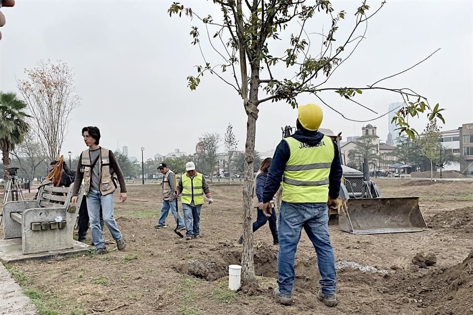 Congreso ordena auditoría a Reforestación Extrema en Nuevo León Congreso ordena auditoría a Reforestación Extrema en Nuevo León