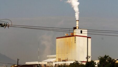 Delitos ambientales en Nuevo León suben 171% en inicio de 2026