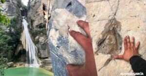 Sequía en Tamaulipas saca a la luz fósiles marinos del Cretácico