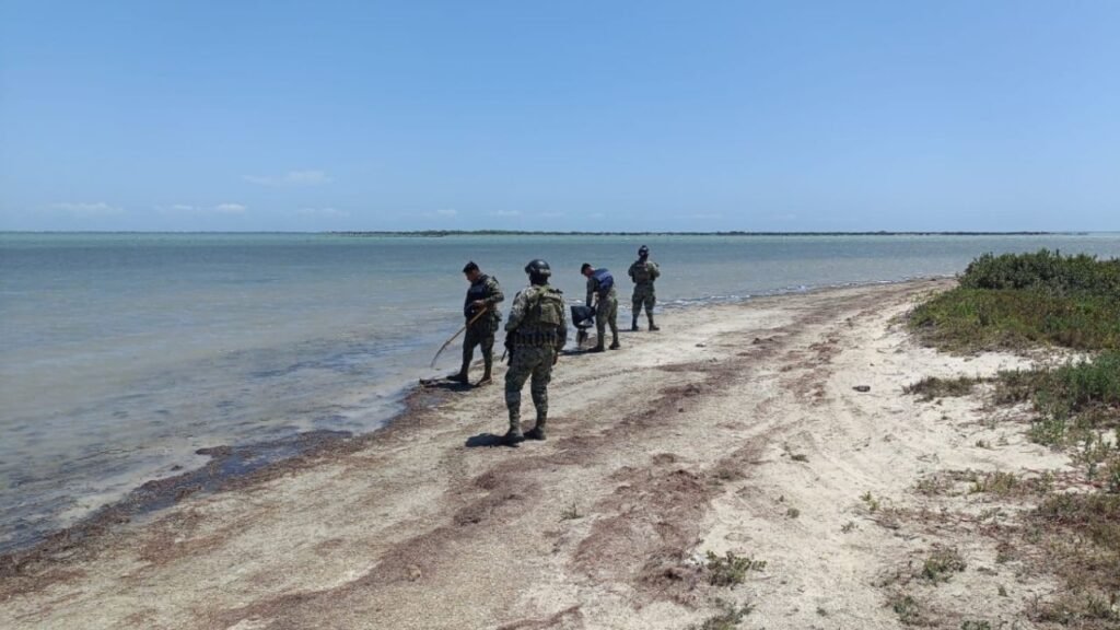 Autoridades refuerzan limpieza tras derrame de hidrocarburo en Tamaulipas