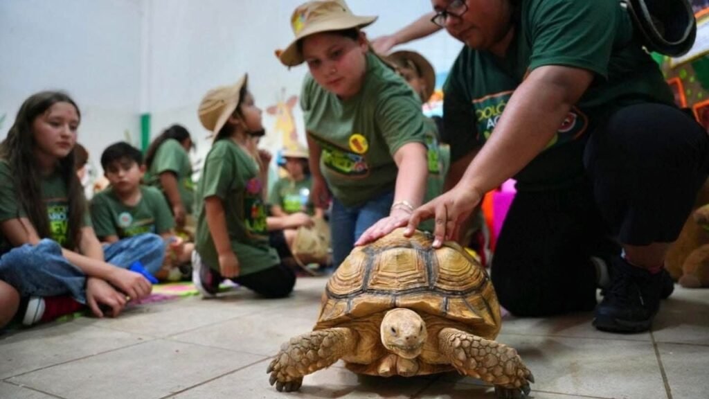 Zoológico de Nuevo Laredo lanza inscripción a programa ZooKids