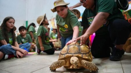 Zoológico de Nuevo Laredo lanza inscripción a programa ZooKids