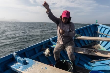 Reabren temporada de pesca de camarón en Tamaulipas Reabren temporada de pesca de camarón en Tamaulipas