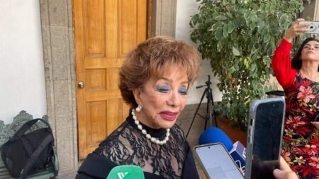Lucila Ayala sigue como magistrada y aspira candidatura de Morena