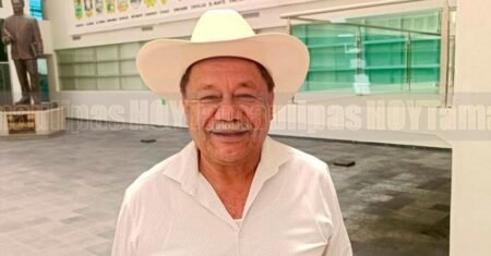 Morena podría reanudar regularización de autos chocolate en 2027