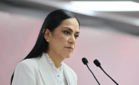 Ariadna Montiel acusa a PRIAN de desinformar sobre Rocha Moya