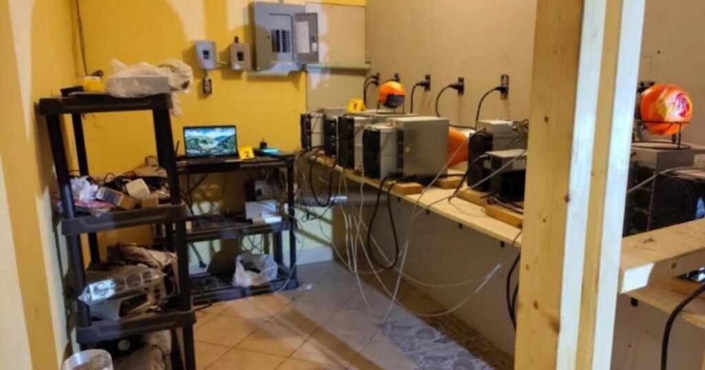 Aseguran granja de criptomonedas en Camargo, Tamaulipas