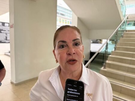PRI impulsa paneles solares financiados para hogares en Tamaulipas PRI impulsa paneles solares financiados para hogares en Tamaulipas