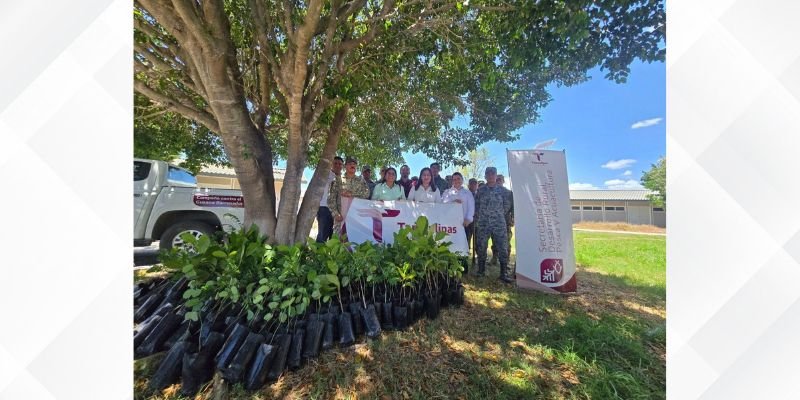 Tamaulipas y SEDENA reforestan El Mante con especies nativas Tamaulipas y SEDENA reforestan El Mante con especies nativas