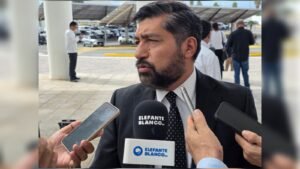INE Tamaulipas asegura continuidad pese a salida de Taddei INE Tamaulipas asegura continuidad pese a salida de Taddei