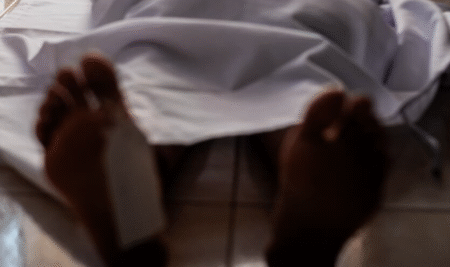 Francia reporta primera muerte humana por virus Shamonda Francia reporta primera muerte humana por virus Shamonda